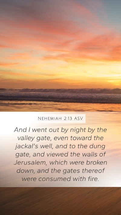 Nehemiah 2:13 ASV Bible Verse Image