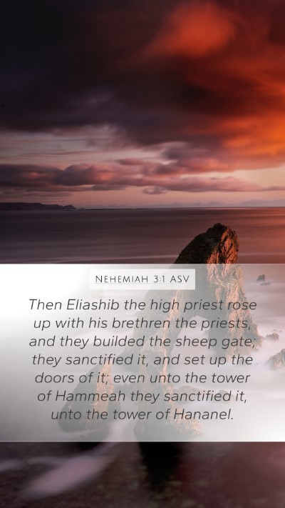 Nehemiah 3:1 ASV Bible Verse Image