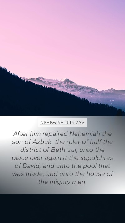 Nehemiah 3:16 ASV Bible Verse Image