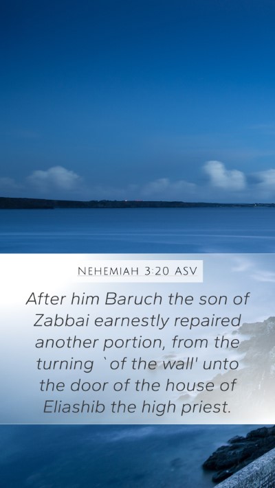 Nehemiah 3:20 ASV Bible Verse Image