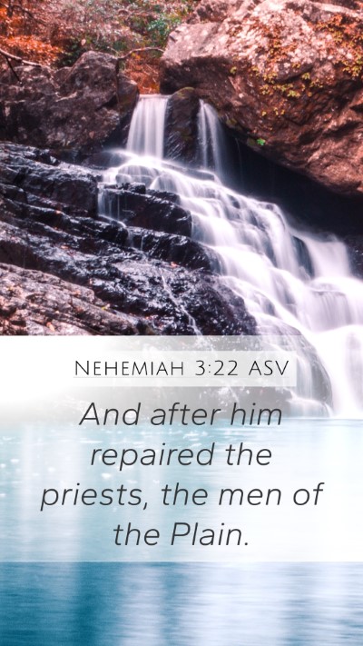 Nehemiah 3:22 ASV Mobile Phone Wallpaper - And after him repaired the priests, the men of - Mobile Bible Verse Wallpaper