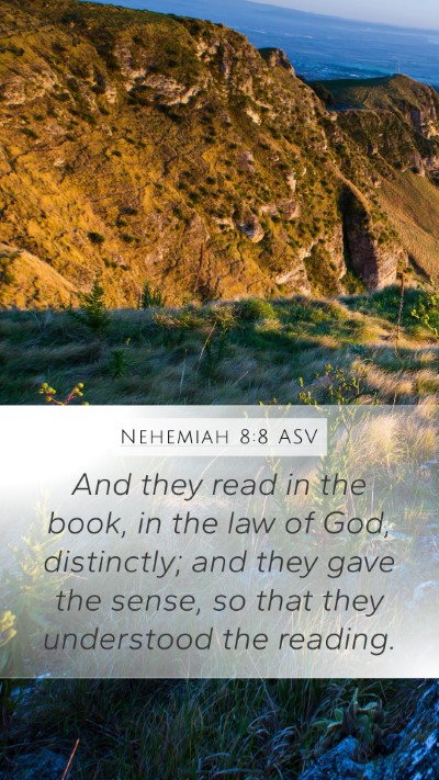 Nehemiah 8:8 ASV Bible Verse Image