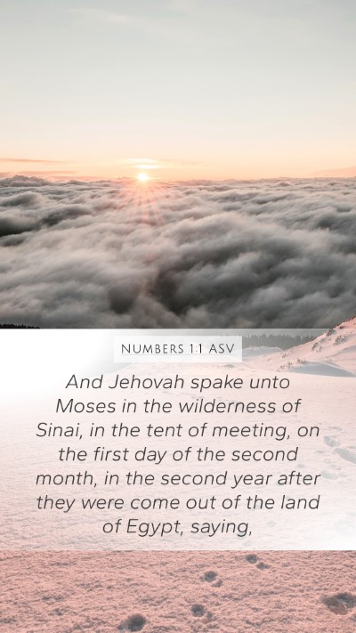 Numbers 1:1 ASV Bible Verse Image