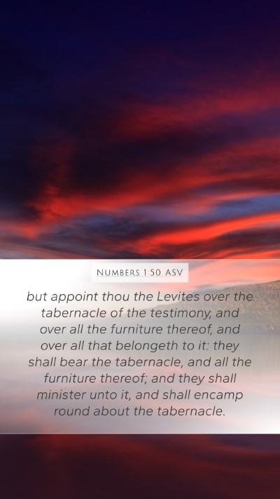 Numbers 1:50 ASV Bible Verse Image