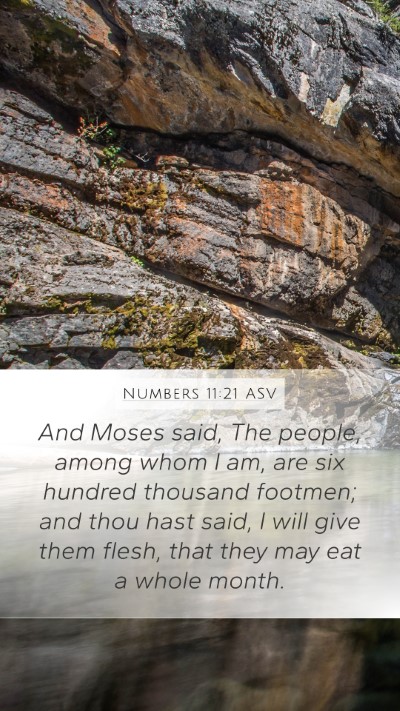 Numbers 11:21 ASV Bible Verse Image