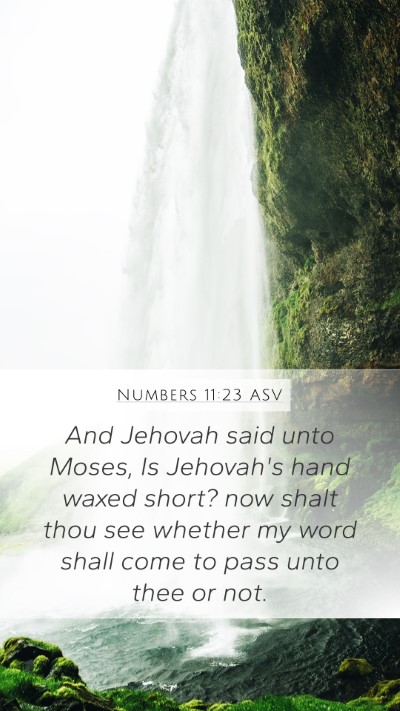 Numbers 11:23 ASV Mobile Phone Wallpaper - And Jehovah said unto Moses, Is Jehovah's hand - Mobile Bible Verse Wallpaper