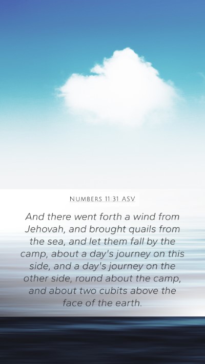 Numbers 11:31 ASV Mobile Phone Wallpaper - And there went forth a wind from Jehovah, and - Mobile Bible Verse Wallpaper