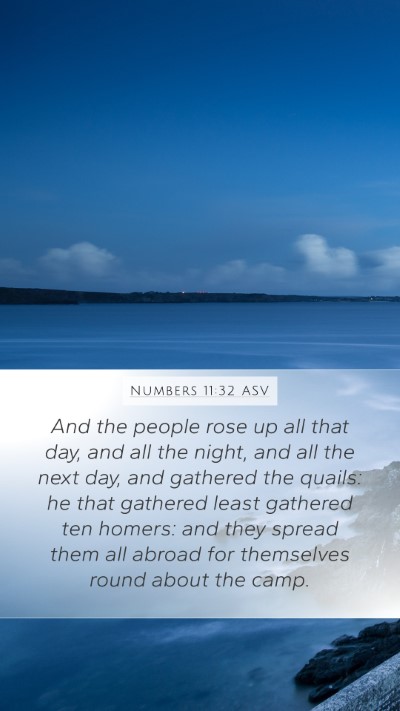 Numbers 11:32 ASV Mobile Phone Wallpaper - And the people rose up all that day, and all the - Mobile Bible Verse Wallpaper