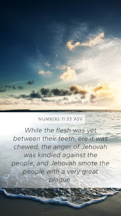 Numbers 11:33 ASV Bible Verse Image