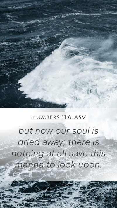 Numbers 11:6 ASV Bible Verse Image