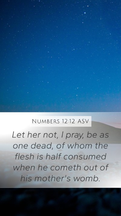 Numbers 12:12 ASV Mobile Phone Wallpaper - Let her not, I pray, be as one dead, of whom the - Mobile Bible Verse Wallpaper