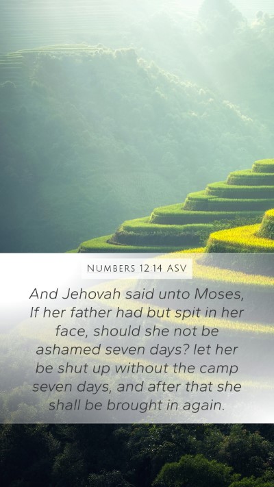 Numbers 12:14 ASV Bible Verse Image