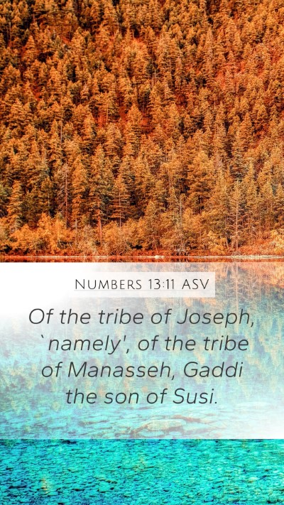 Numbers 13:11 ASV Mobile Phone Wallpaper - Of the tribe of Joseph, `namely', of the tribe of - Mobile Bible Verse Wallpaper