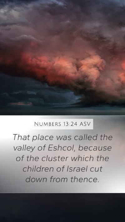 Numbers 13:24 ASV Bible Verse Image