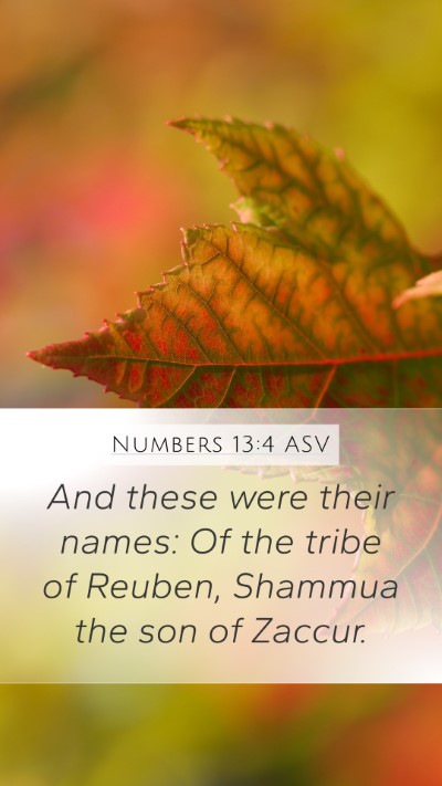 Numbers 13:4 ASV Mobile Phone Wallpaper - And these were their names: Of the tribe of - Mobile Bible Verse Wallpaper