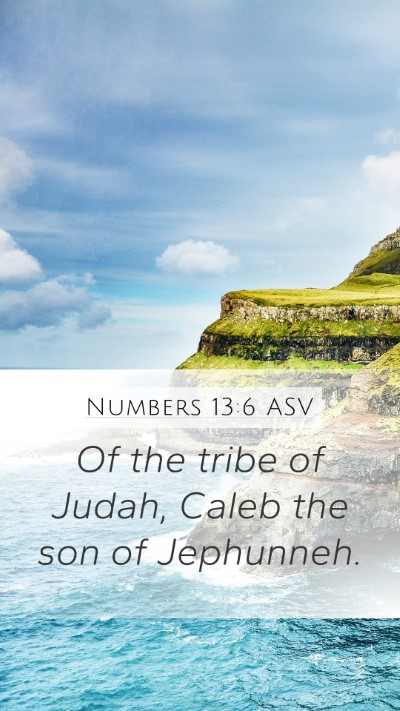 Numbers 13:6 ASV Bible Verse Image