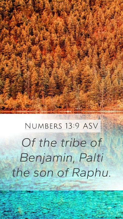Numbers 13:9 ASV Mobile Phone Wallpaper - Of the tribe of Benjamin, Palti the son of - Mobile Bible Verse Wallpaper