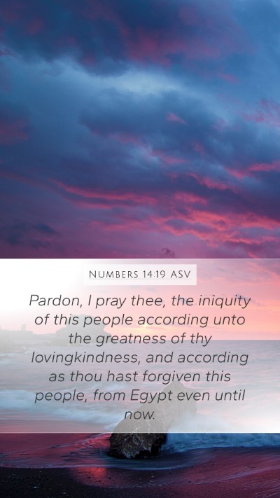 Numbers 14:19 ASV Mobile Phone Wallpaper - Pardon, I pray thee, the iniquity of this people - Mobile Bible Verse Wallpaper