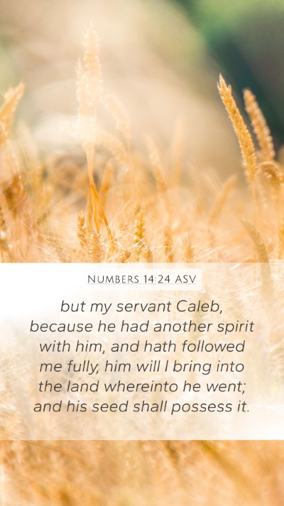 Numbers 14:24 ASV Bible Verse Image
