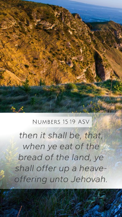 Numbers 15:19 ASV Bible Verse Image