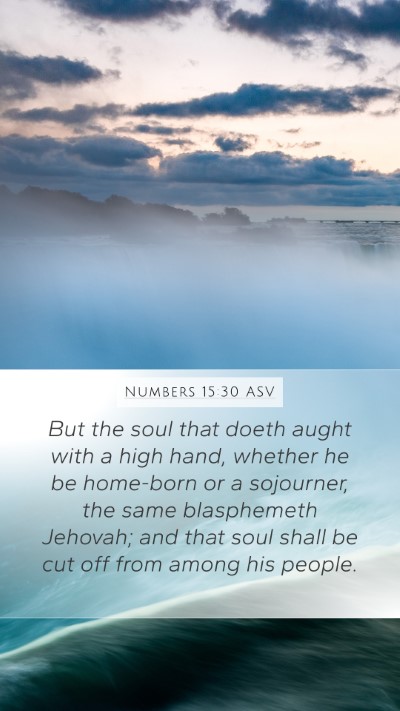 Numbers 15:30 ASV Bible Verse Image