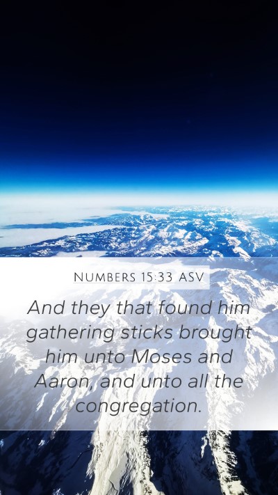 Numbers 15:33 ASV Bible Verse Image