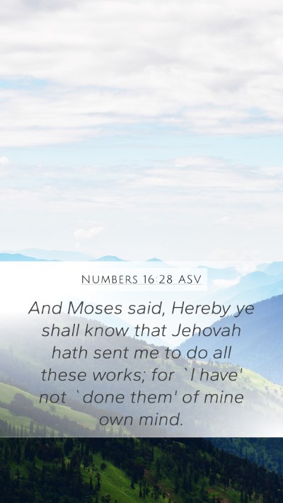 Numbers 16:28 ASV Bible Verse Image
