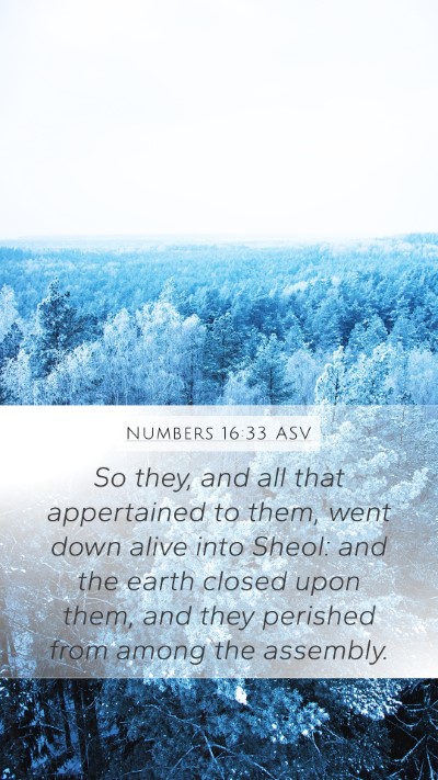 Numbers 16:33 ASV Bible Verse Image