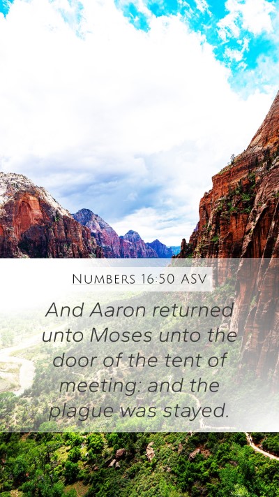 Numbers 16:50 ASV Mobile Phone Wallpaper - And Aaron returned unto Moses unto the door of - Mobile Bible Verse Wallpaper