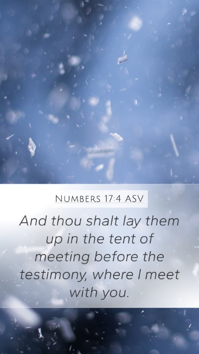 Numbers 17:4 ASV Mobile Phone Wallpaper - And thou shalt lay them up in the tent of meeting - Mobile Bible Verse Wallpaper