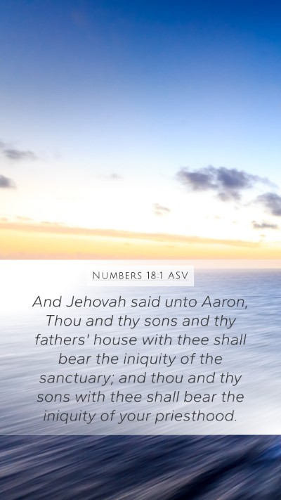Numbers 18:1 ASV Bible Verse Image