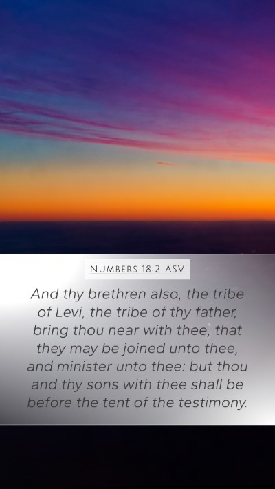 Numbers 18:2 ASV Bible Verse Image