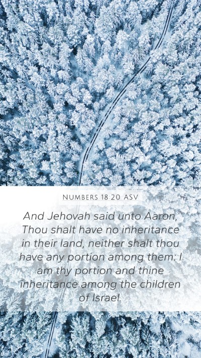 Numbers 18:20 ASV Bible Verse Image