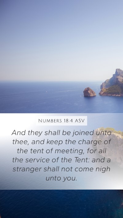 Numbers 18:4 ASV Bible Verse Image
