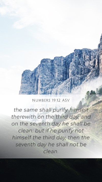 Numbers 19:12 ASV Bible Verse Image