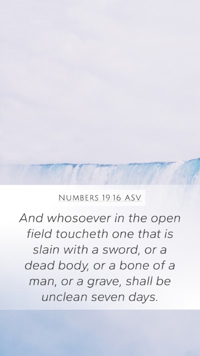 Numbers 19:16 ASV Bible Verse Image