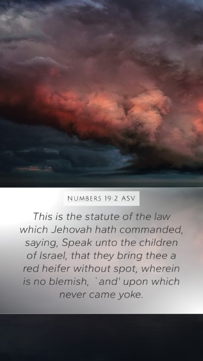 Numbers 19:2 ASV Bible Verse Image