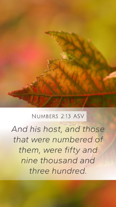 Numbers 2:13 ASV Bible Verse Image