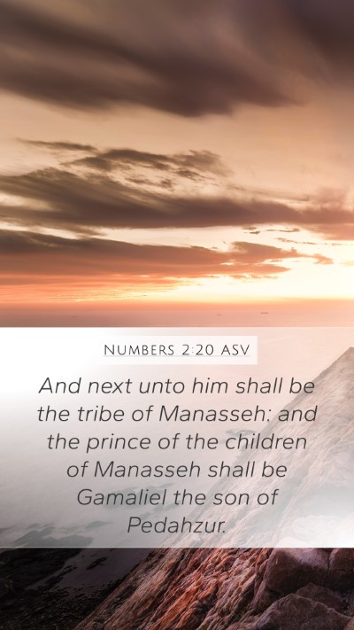 Numbers 2:20 ASV Bible Verse Image