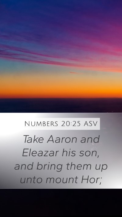 Numbers 20:25 ASV Bible Verse Image