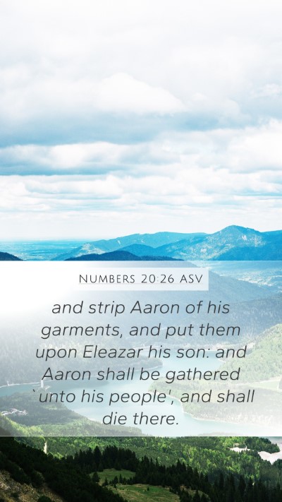 Numbers 20:26 ASV Bible Verse Image