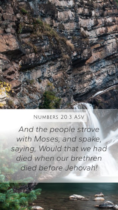 Numbers 20:3 ASV Bible Verse Image