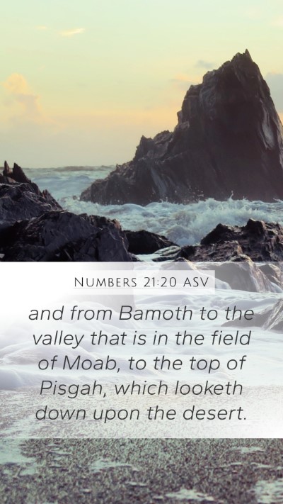 Numbers 21:20 ASV Bible Verse Image