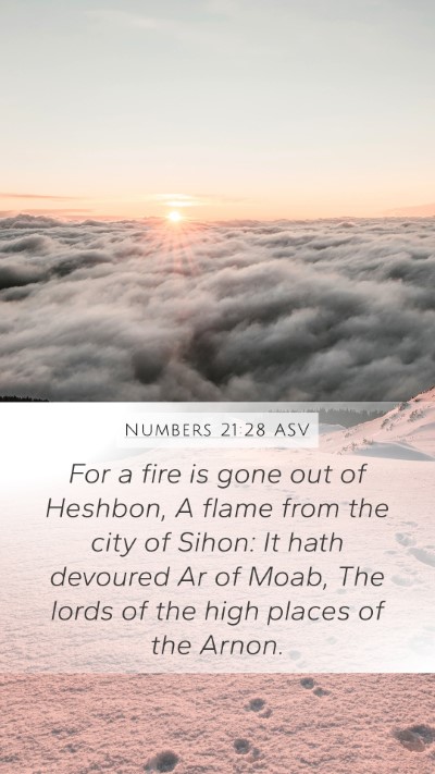 Numbers 21:28 ASV Bible Verse Image