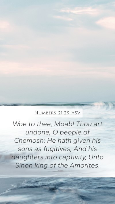 Numbers 21:29 ASV Bible Verse Image