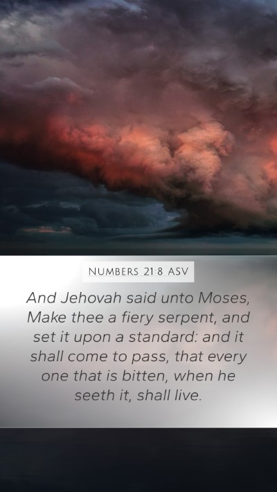 Numbers 21:8 ASV Bible Verse Image