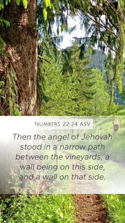 Numbers 22:24 ASV Mobile Phone Wallpaper - Then the angel of Jehovah stood in a narrow path - Mobile Bible Verse Wallpaper