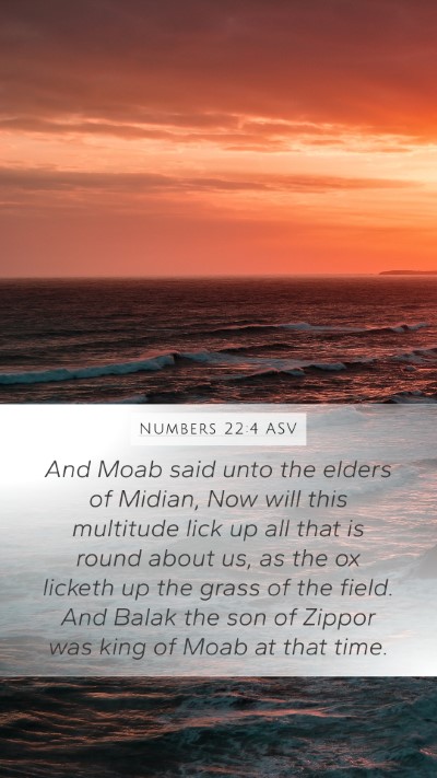 Numbers 22:4 ASV Mobile Phone Wallpaper - And Moab said unto the elders of Midian, Now will - Mobile Bible Verse Wallpaper