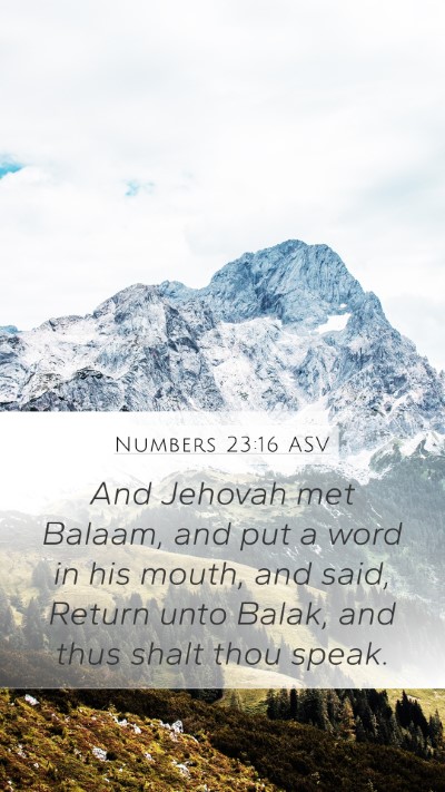 Numbers 23:16 ASV Bible Verse Image