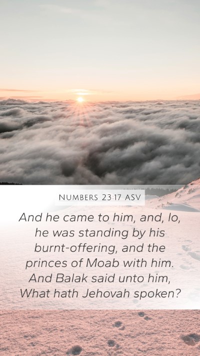 Numbers 23:17 ASV Mobile Phone Wallpaper - And he came to him, and, lo, he was standing by - Mobile Bible Verse Wallpaper